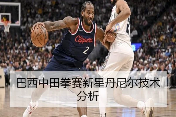 巴西中田拳赛新星丹尼尔技术分析